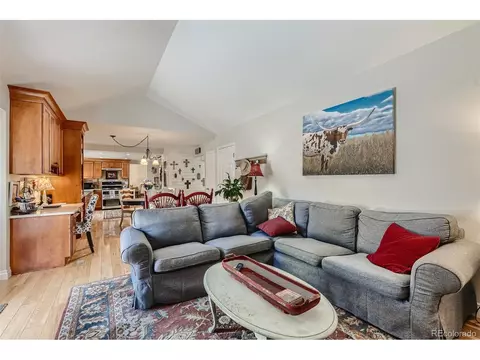 20715 E Powers Cir, Centennial, CO 80015 photo 7