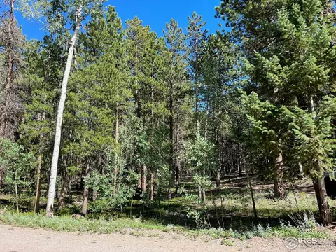 108 Tilghman Rd, Ward, CO 80481 photo 2