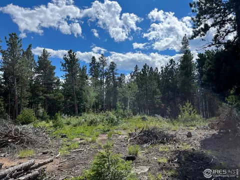 108 Tilghman Rd, Ward, CO 80481 photo 3