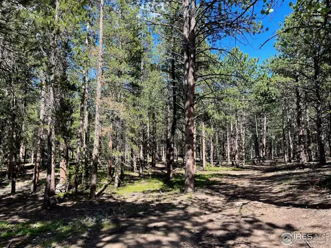 108 Tilghman Rd, Ward, CO 80481 photo 1