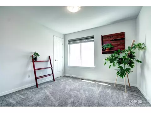 406 E Michigan Ave, Berthoud, CO 80513 photo 24