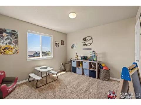 1395 Copeland Falls Rd, Windsor, CO 80550 photo 14