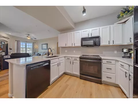 10841 Twenty Mile Rd #108, Parker, CO 80134