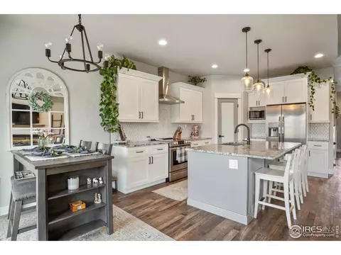 1126 Johnson St, Wiggins, CO 80654 photo 16