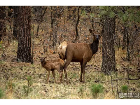 3500 County Road 12, Jansen, CO 81082 photo 6