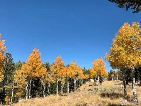 3500 County Road 12, Jansen, CO 81082 photo 8