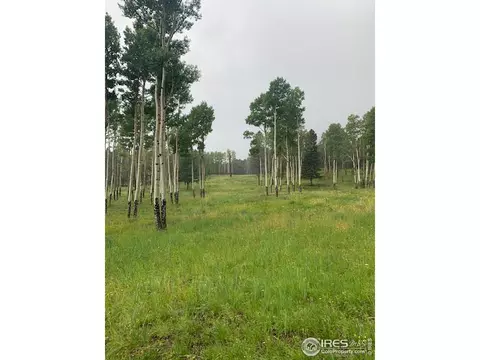 3500 County Road 12, Jansen, CO 81082 photo 9