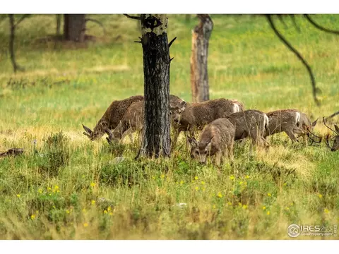 3500 County Road 12, Jansen, CO 81082 photo 3