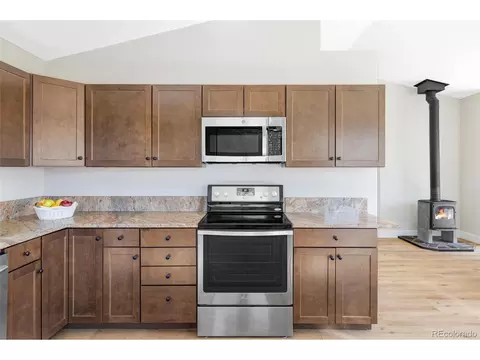 1154 N Pine Dr, Bailey, CO 80421 photo 5