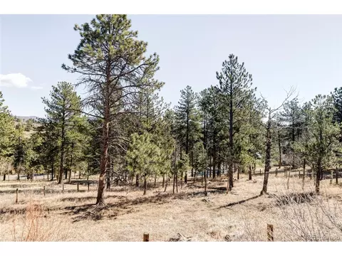 1154 N Pine Dr, Bailey, CO 80421 photo 17