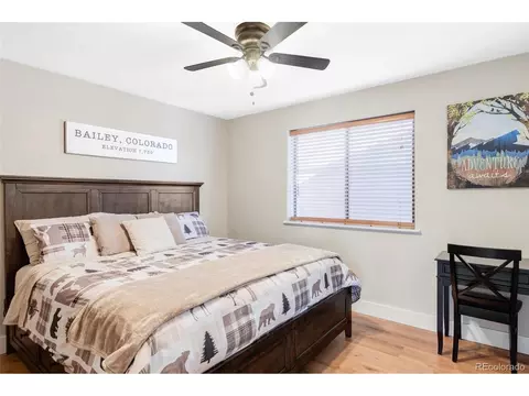1154 N Pine Dr, Bailey, CO 80421 photo 14