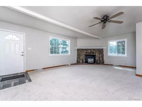 87 Pine Trl, Bailey, CO 80421 photo 9