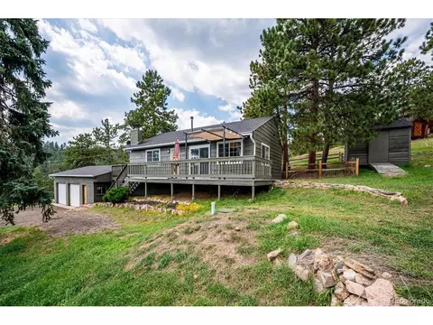 87 Pine Trl, Bailey, CO 80421 photo 3