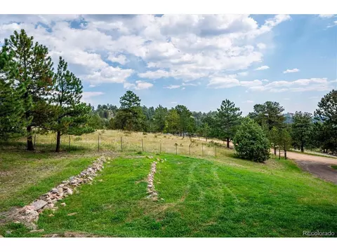 87 Pine Trl, Bailey, CO 80421 photo 7
