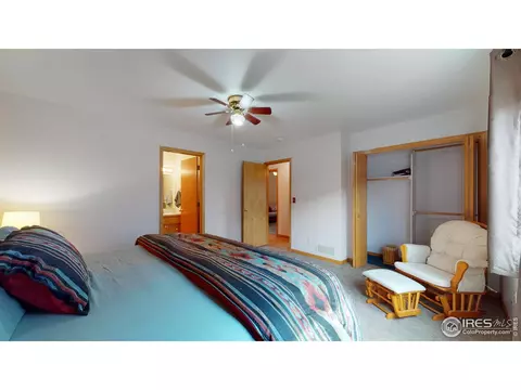 1127 Valley Dr, Windsor, CO 80550 photo 15