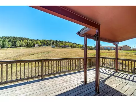 182 Will Scarlet Dr, Divide, CO 80814 photo 18