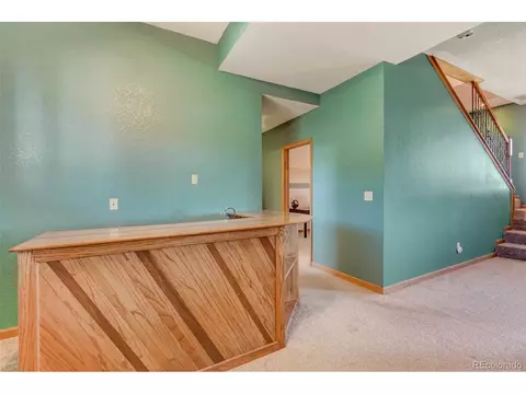 182 Will Scarlet Dr, Divide, CO 80814 photo 41