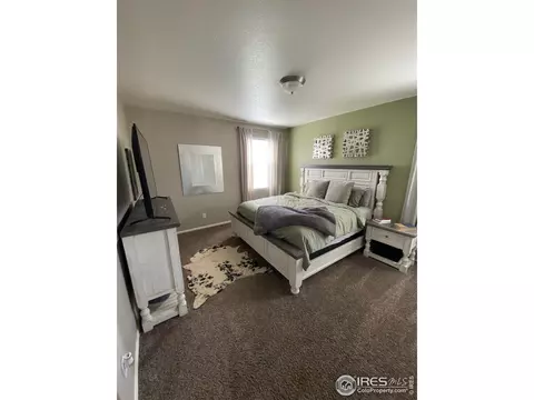538 2nd St, Severance, CO 80550 photo 13
