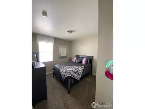 538 2nd St, Severance, CO 80550 photo 21