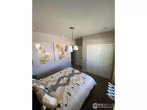 538 2nd St, Severance, CO 80550 photo 19