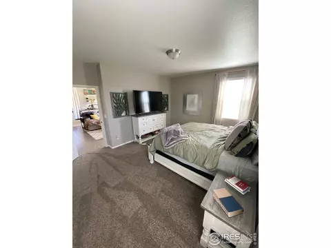 538 2nd St, Severance, CO 80550 photo 14