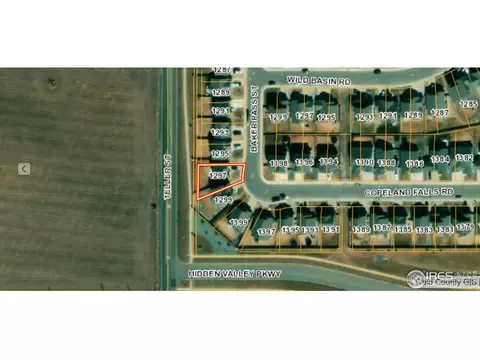 1297 Baker Pass St, Windsor, CO 80550 photo 33