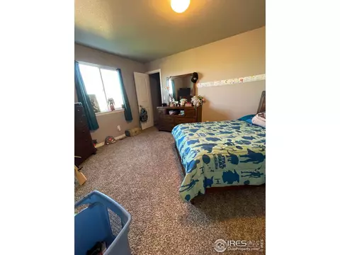 1297 Baker Pass St, Windsor, CO 80550 photo 22
