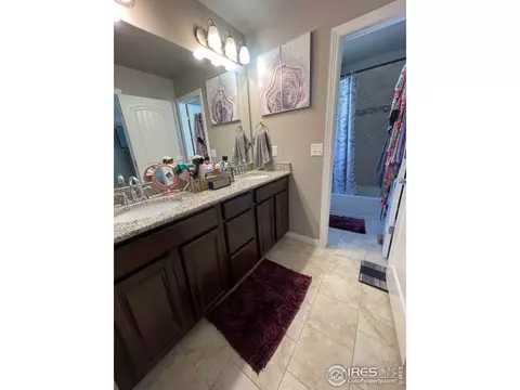 1297 Baker Pass St, Windsor, CO 80550 photo 18