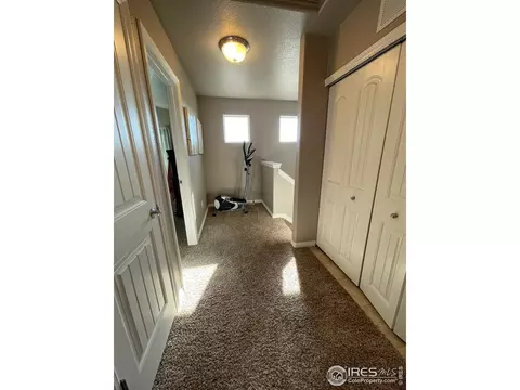 1297 Baker Pass St, Windsor, CO 80550 photo 14