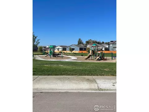 1297 Baker Pass St, Windsor, CO 80550 photo 32