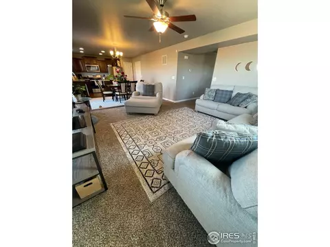 1297 Baker Pass St, Windsor, CO 80550 photo 9