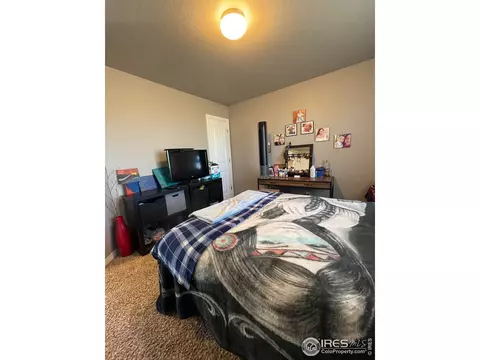 1297 Baker Pass St, Windsor, CO 80550 photo 25