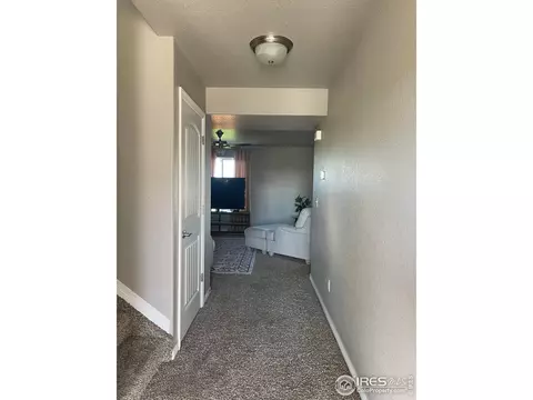 1297 Baker Pass St, Windsor, CO 80550 photo 5
