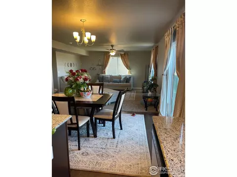 1297 Baker Pass St, Windsor, CO 80550 photo 11