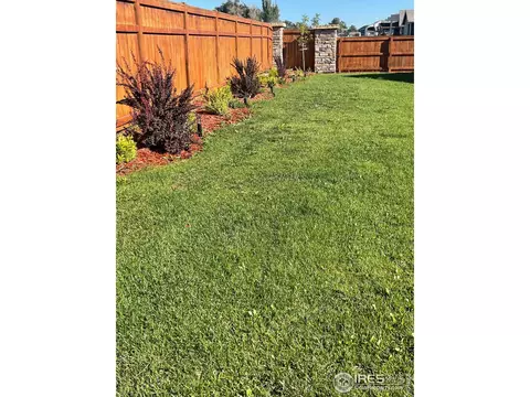 1297 Baker Pass St, Windsor, CO 80550 photo 28
