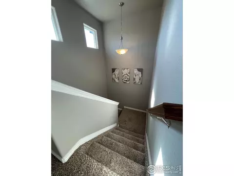 1297 Baker Pass St, Windsor, CO 80550 photo 13