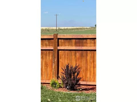 1297 Baker Pass St, Windsor, CO 80550 photo 29