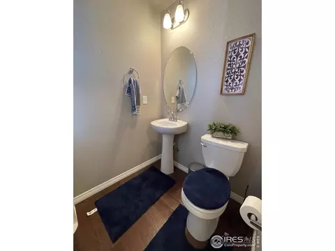 1297 Baker Pass St, Windsor, CO 80550 photo 6
