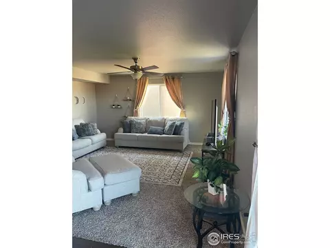 1297 Baker Pass St, Windsor, CO 80550 photo 8