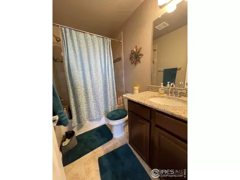 1297 Baker Pass St, Windsor, CO 80550 photo 21