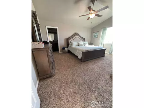 1297 Baker Pass St, Windsor, CO 80550 photo 15