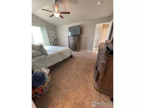 1297 Baker Pass St, Windsor, CO 80550 photo 17