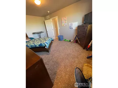 1297 Baker Pass St, Windsor, CO 80550 photo 23