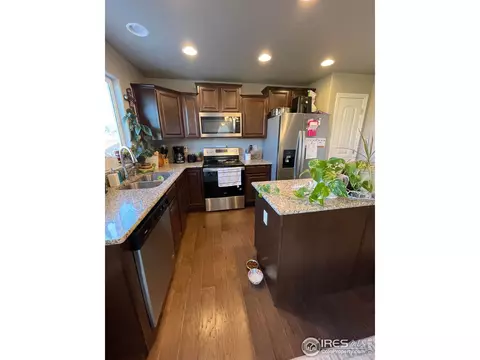 1297 Baker Pass St, Windsor, CO 80550 photo 10