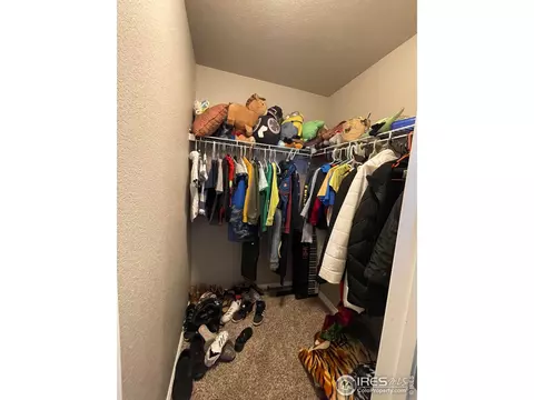 1297 Baker Pass St, Windsor, CO 80550 photo 24