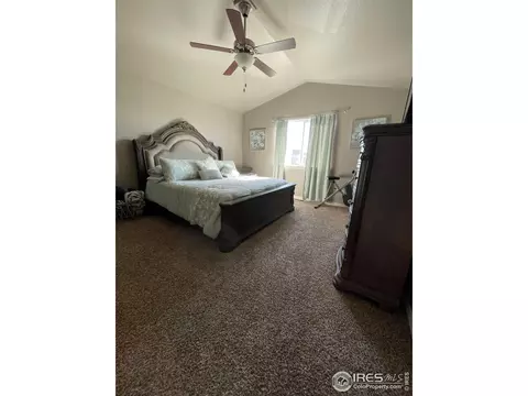 1297 Baker Pass St, Windsor, CO 80550 photo 16