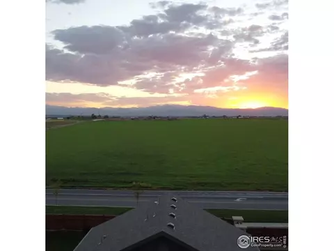 1297 Baker Pass St, Windsor, CO 80550 photo 30
