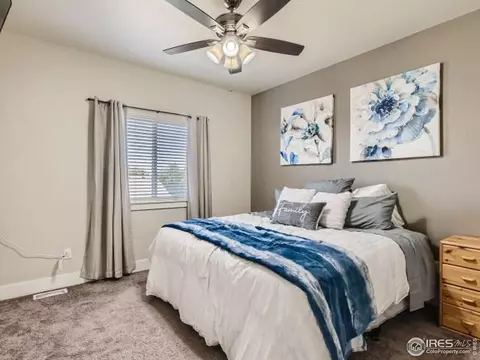 868 Cliffrose Way, Severance, CO 80550 photo 17