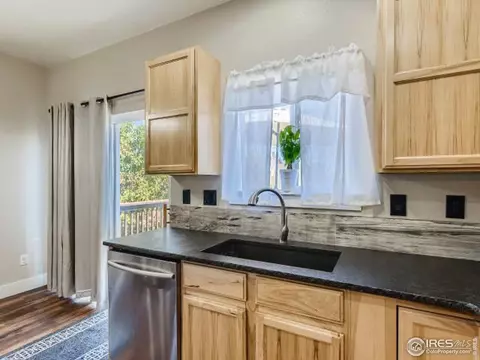 868 Cliffrose Way, Severance, CO 80550 photo 14