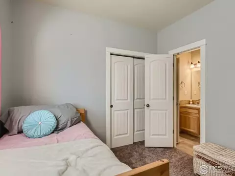 868 Cliffrose Way, Severance, CO 80550 photo 20